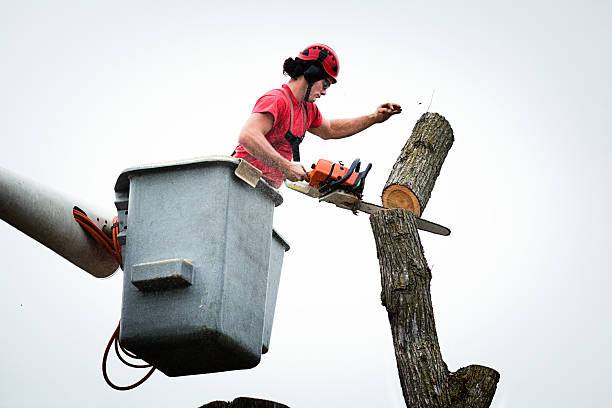 Leaf Removal in Gosport, IN